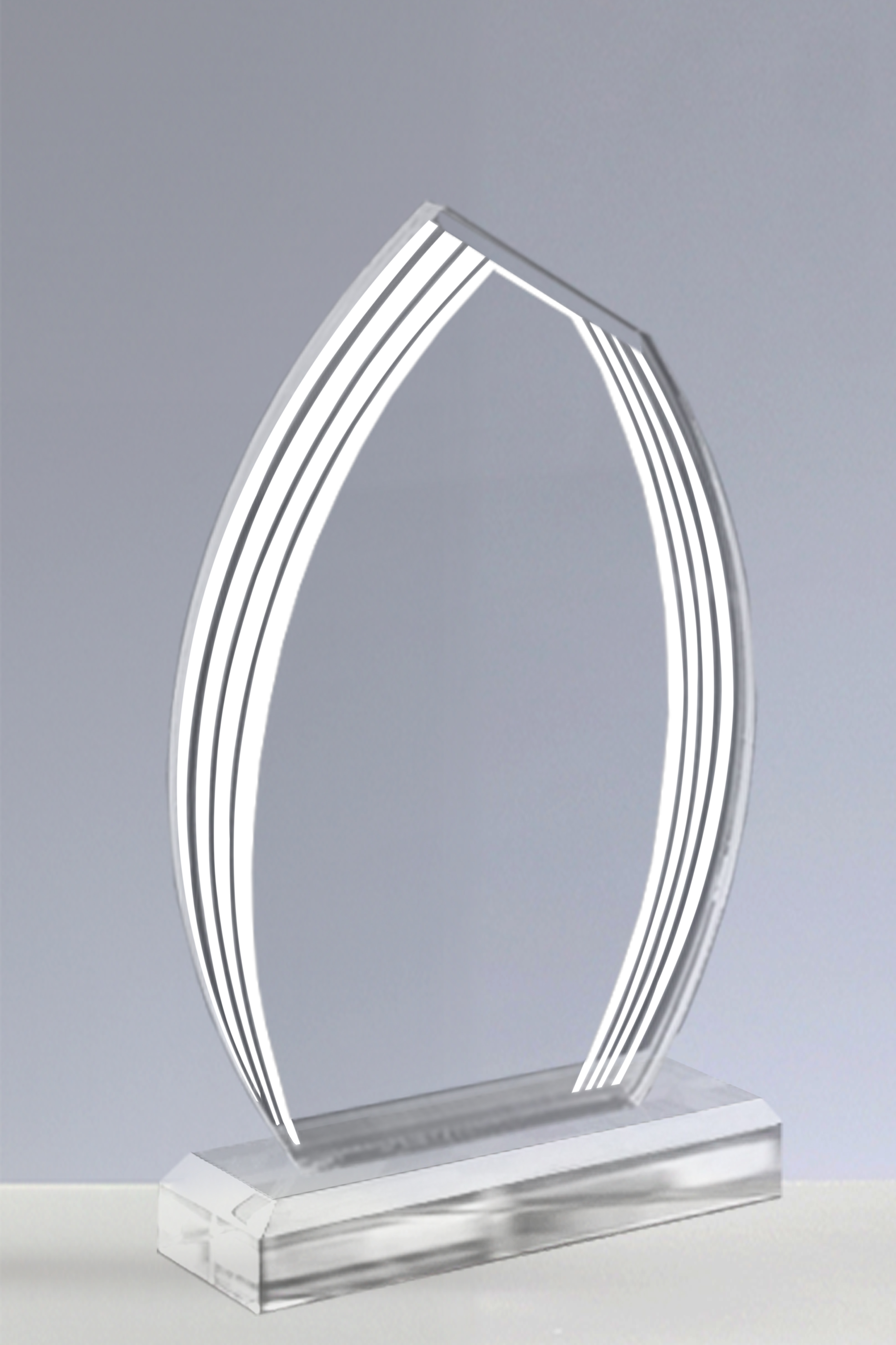 Trofee Personalizate PSW 109